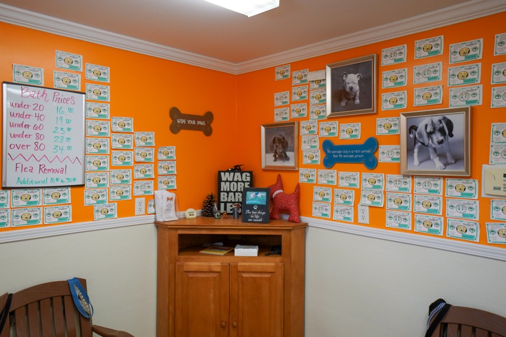 Dog Spa Labby Lane Kennel Chattanooga