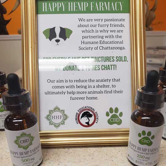 CBD For Your Pet In Chattanooga