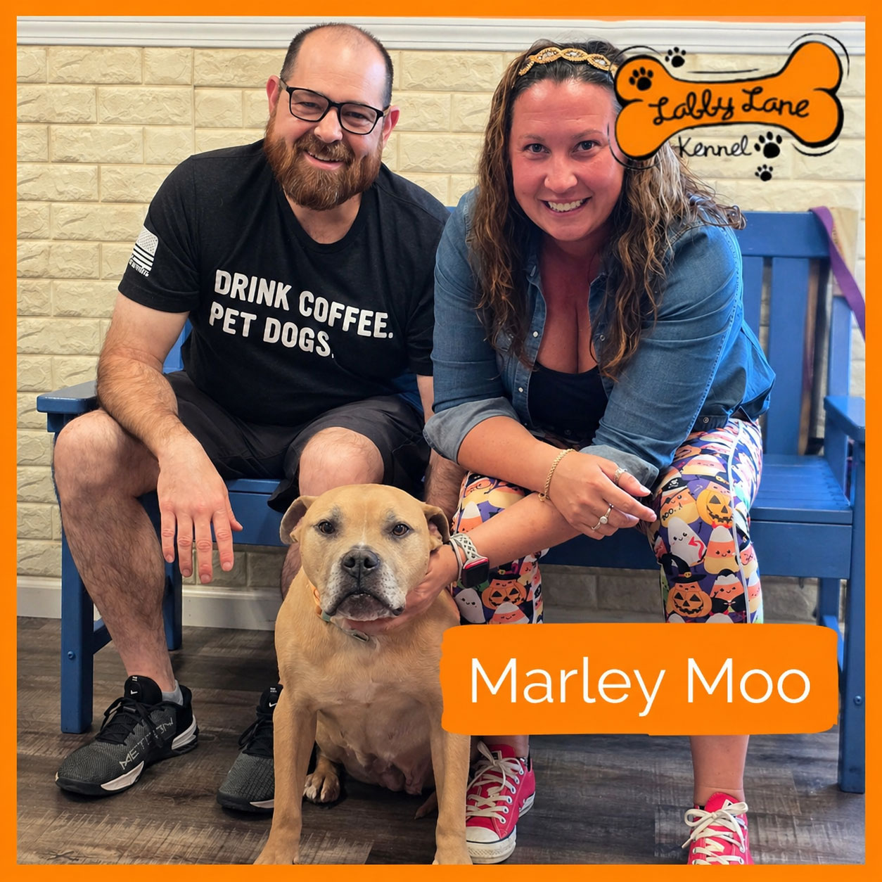 Labby Lane Fosters MarleyMoo