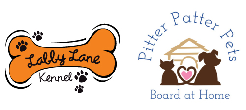 Dog boarding around chattanooga